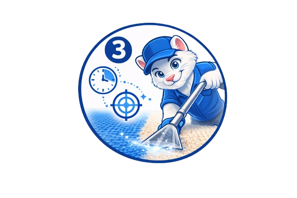 ניקוי הדרגתי וממוקד